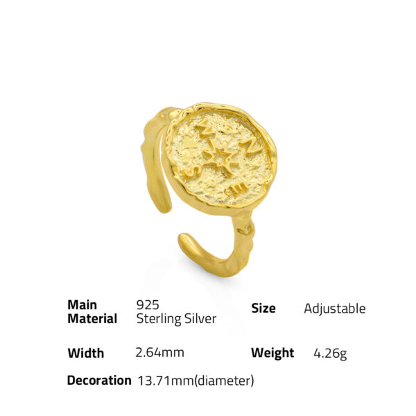 Chris April Fine jewelry 925 sterling silver gold plated compass hammered texture circle signet ring - Image 6