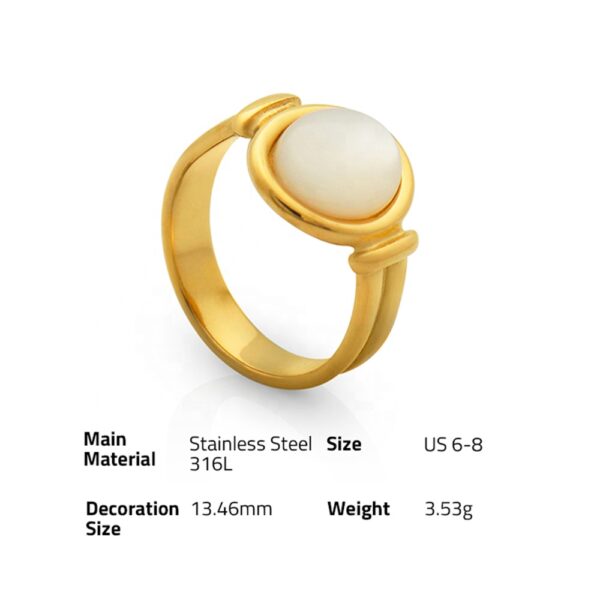 Chris April Stylish jewelry in stock PVD gold plated 316L stainless steel water proof oval shell signet ring - Image 6