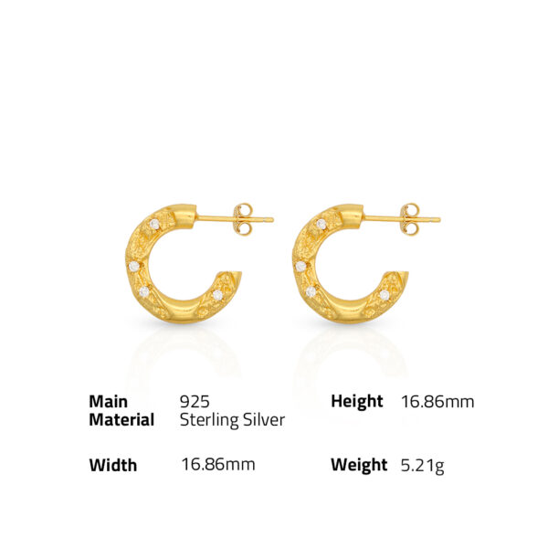 Chris April minimalist 925 sterling silver 18k gold plated retro micron-pave texture  zircon earrings - Image 6