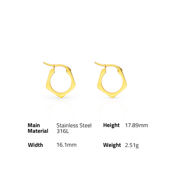 Chris April in stock 316L Stainless Steel PVD plated minimalist pentagong hoop earrings - Image 6