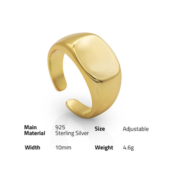 Chris April in stock 925 sterling silver gold plated INS Nordic style simple large gloss signet ring - Image 6