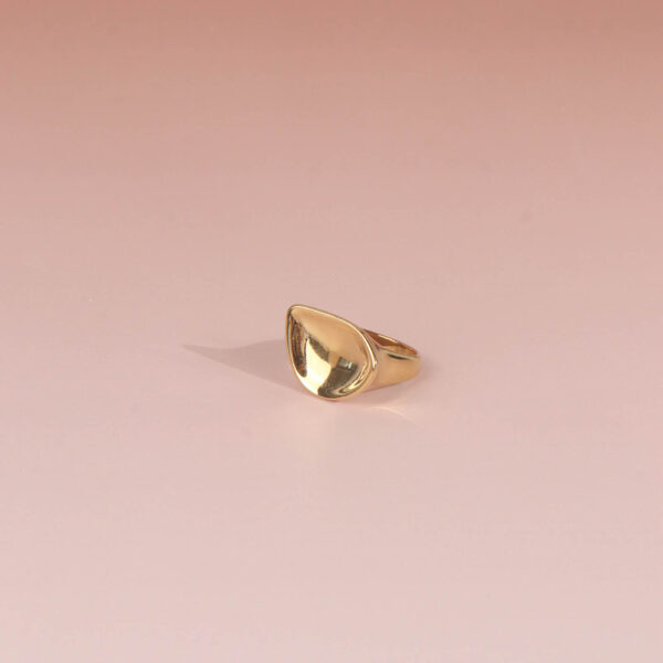 Chris April fashion jewelry in stock PVD gold plated 316L stainless steel Non-tarnish organic shape Signet ring - Image 4