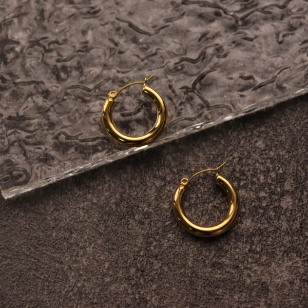 Chris April in stock water-proof 316L stainless steel PVD gold plated glossy hoop earrings for women - Image 4