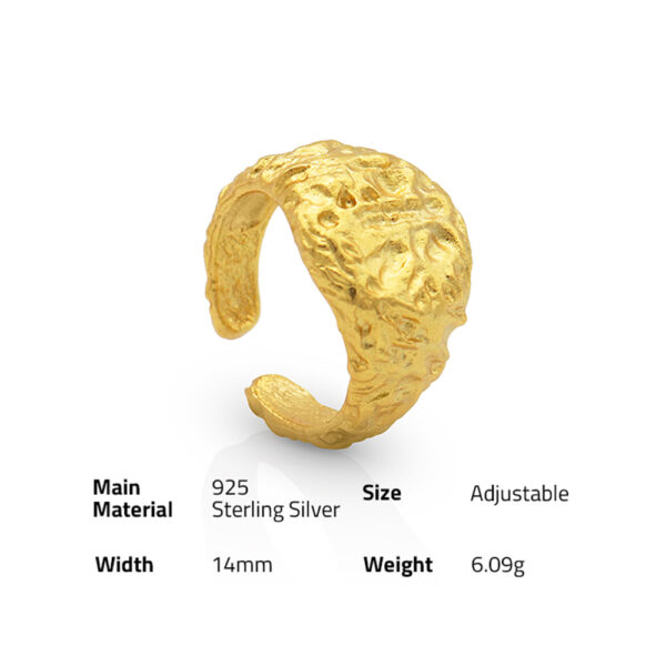 Chris April simple 925 silver Minimalist gold plated Geometric irregular hammer texture ring - Image 6