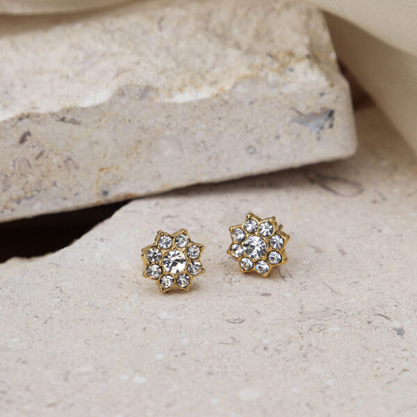 Chris April 316L stainless steel gold jewelri pvd cluster simple zircon stud earrings - Image 5