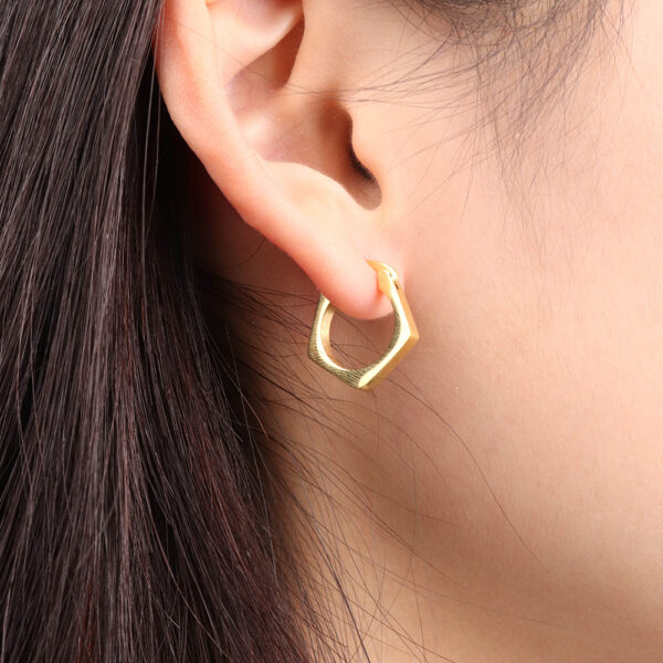 Chris April in stock 316L Stainless Steel PVD plated minimalist pentagong hoop earrings - Image 4