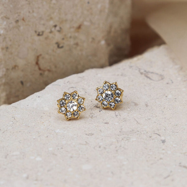 Chris April 316L stainless steel gold jewelri pvd cluster simple zircon stud earrings - Image 6