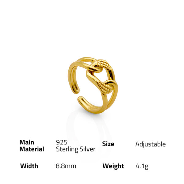 Chris April 925 sterling silver Retro 18k yellow gold plated Thick chain fashion rings jewely for women - Image 6