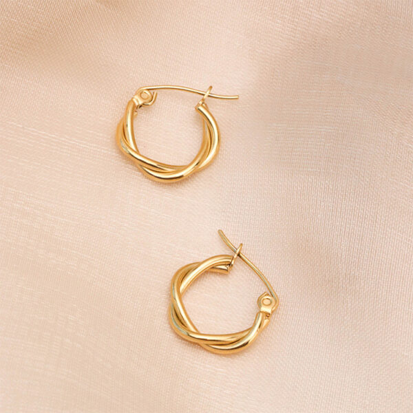 Chris April 316L stainless steel PVD plated rope twisting hoops earring - Image 6