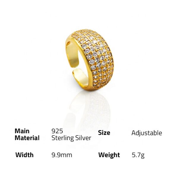 Chris April in stock  925 silver 18k gold plated zircon cz paved big chunky rings - Image 6